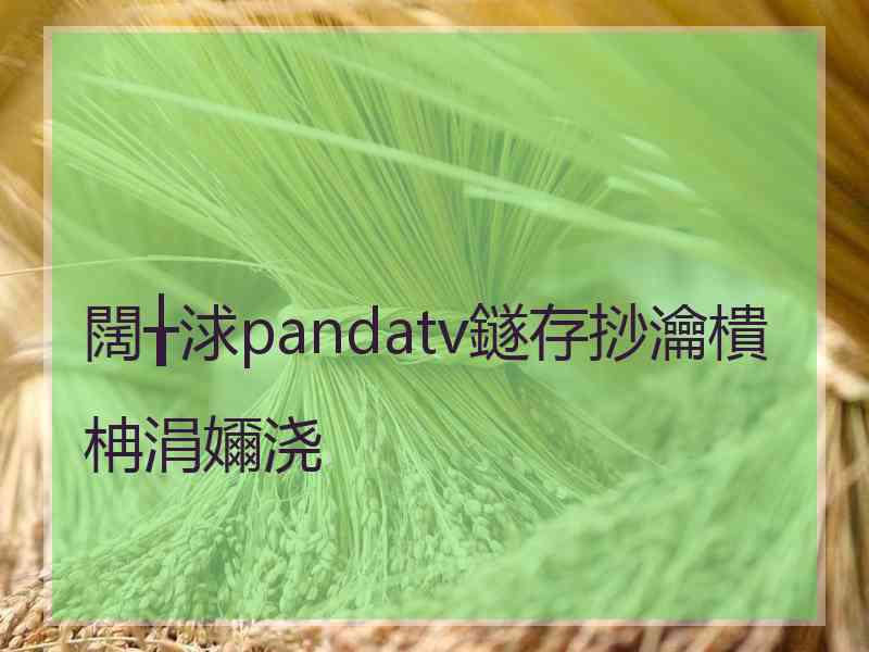 闊╁浗pandatv鐩存挱瀹樻柟涓嬭浇