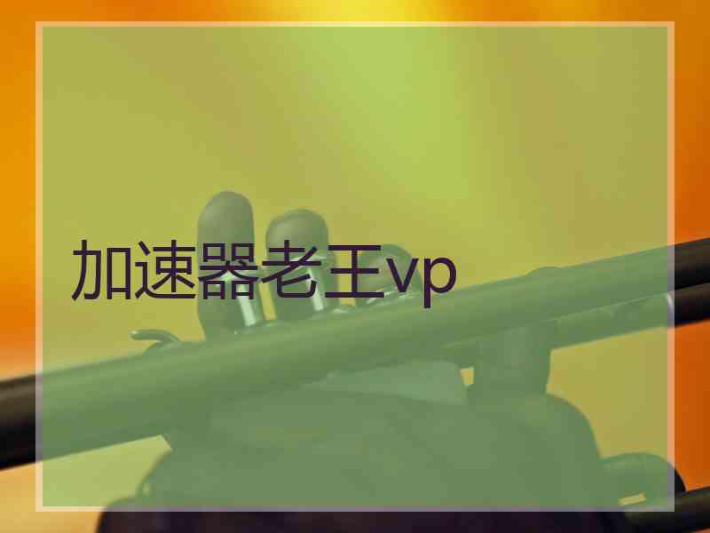 加速器老王vp