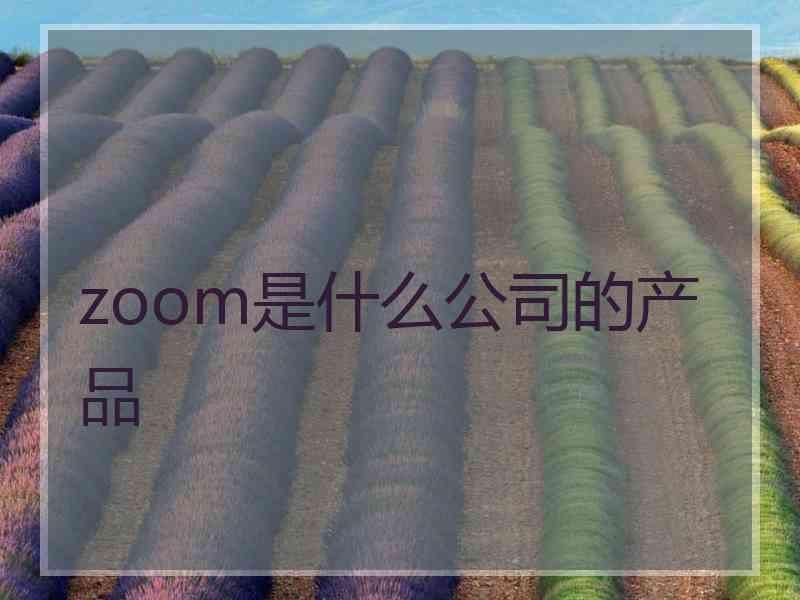 zoom是什么公司的产品