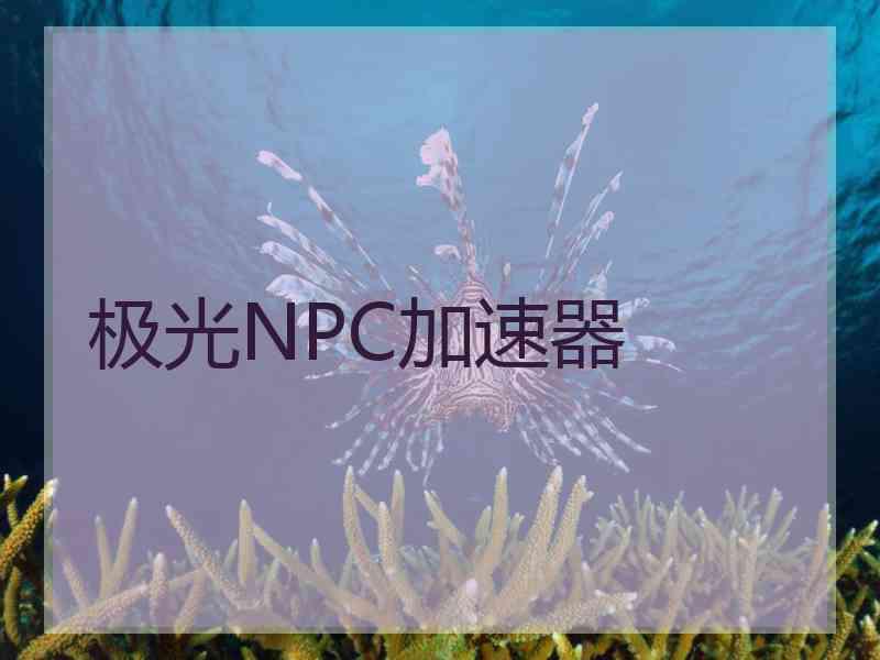 极光NPC加速器