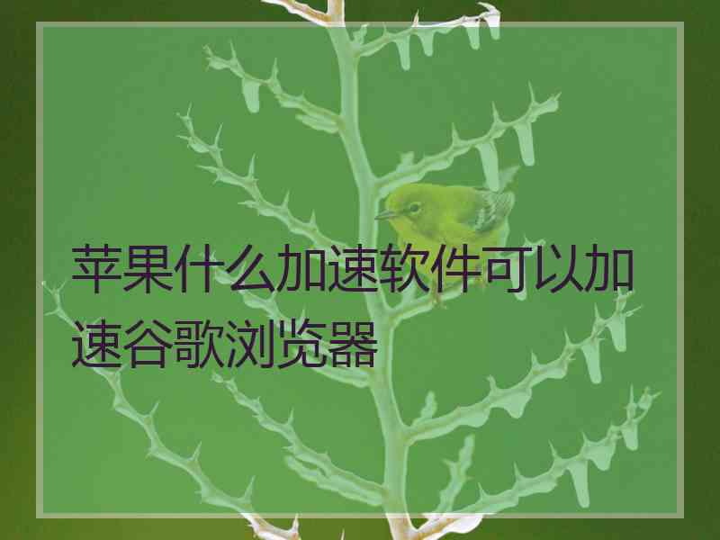 苹果什么加速软件可以加速谷歌浏览器