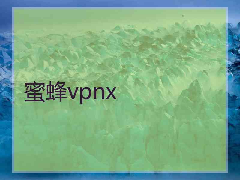 蜜蜂vpnx