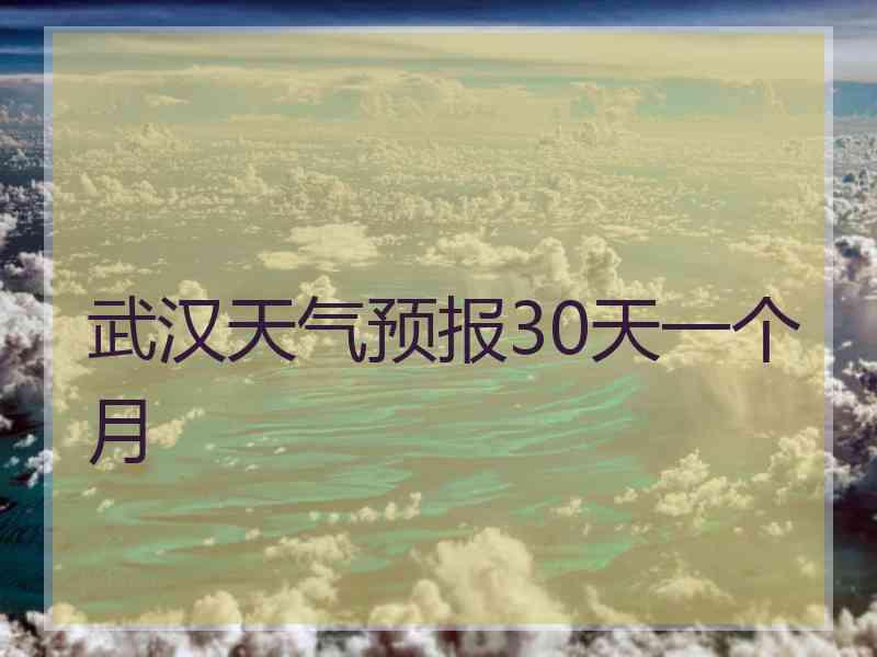 武汉天气预报30天一个月