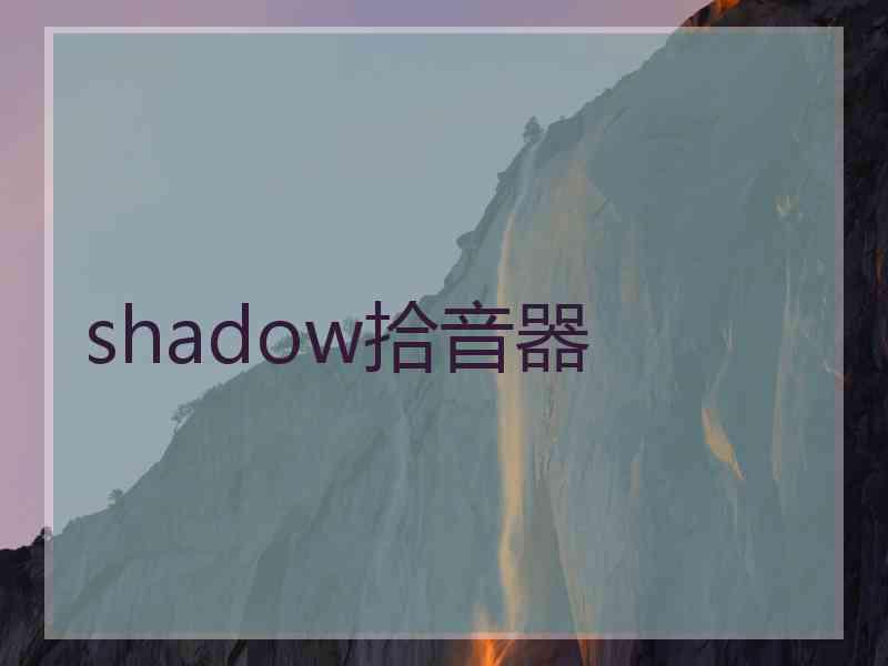 shadow拾音器