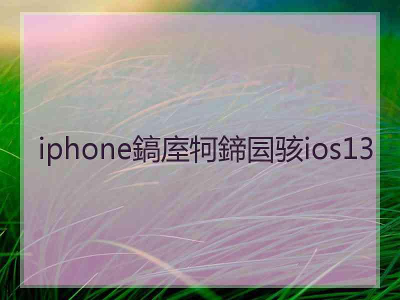 iphone鎬庢牱鍗囩骇ios13