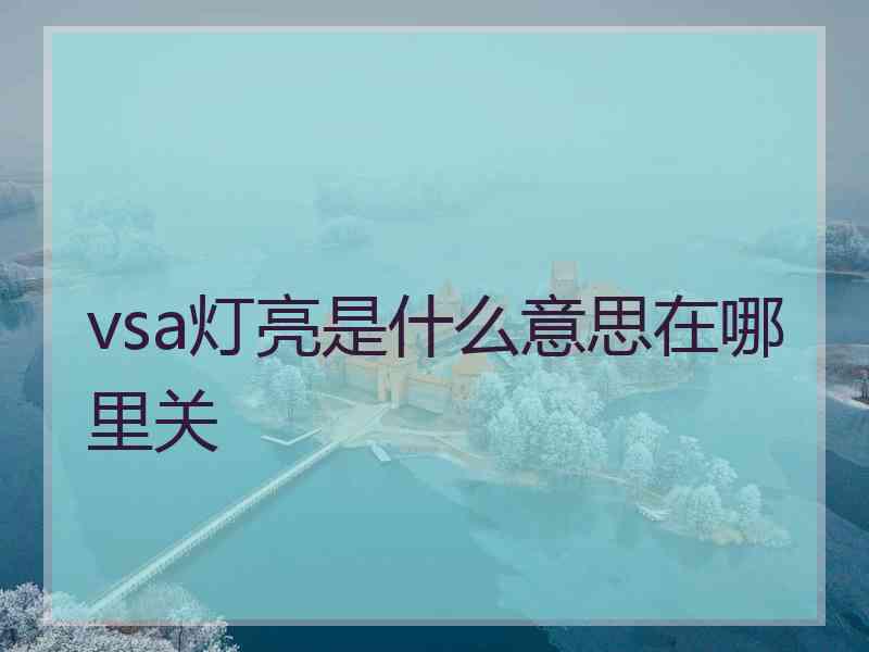 vsa灯亮是什么意思在哪里关