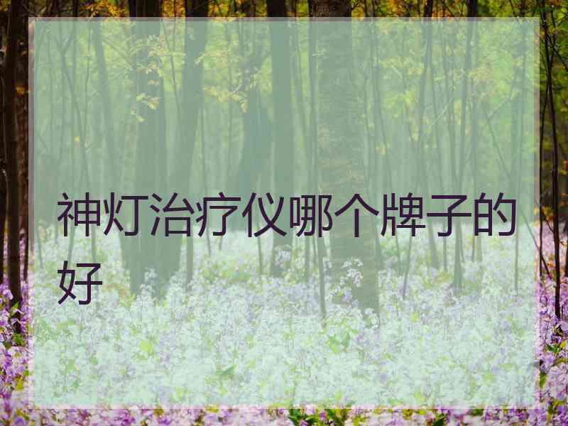 神灯治疗仪哪个牌子的好