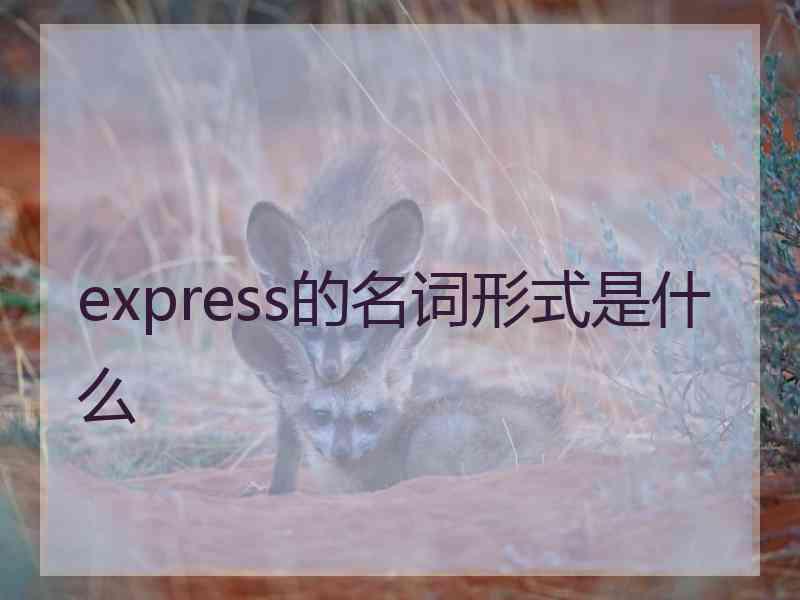 express的名词形式是什么