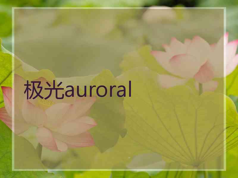 极光auroral