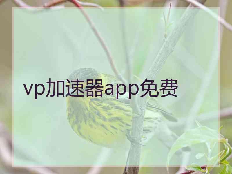 vp加速器app免费