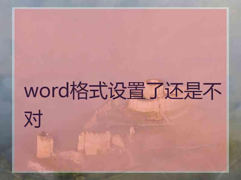 word格式设置了还是不对