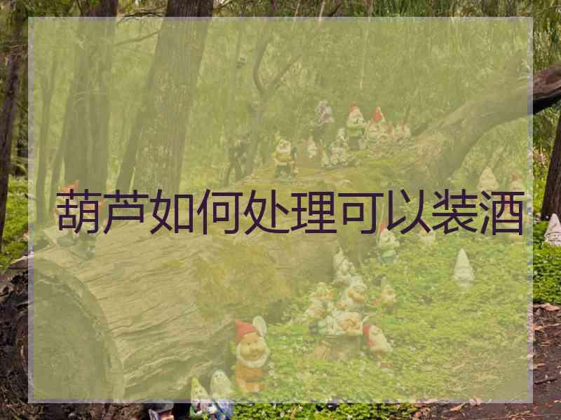 葫芦如何处理可以装酒