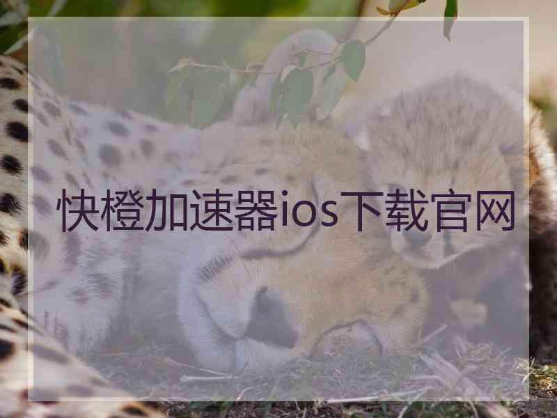 快橙加速器ios下载官网