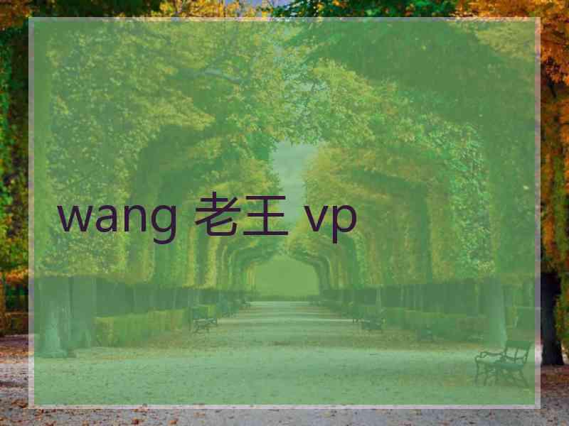 wang 老王 vp