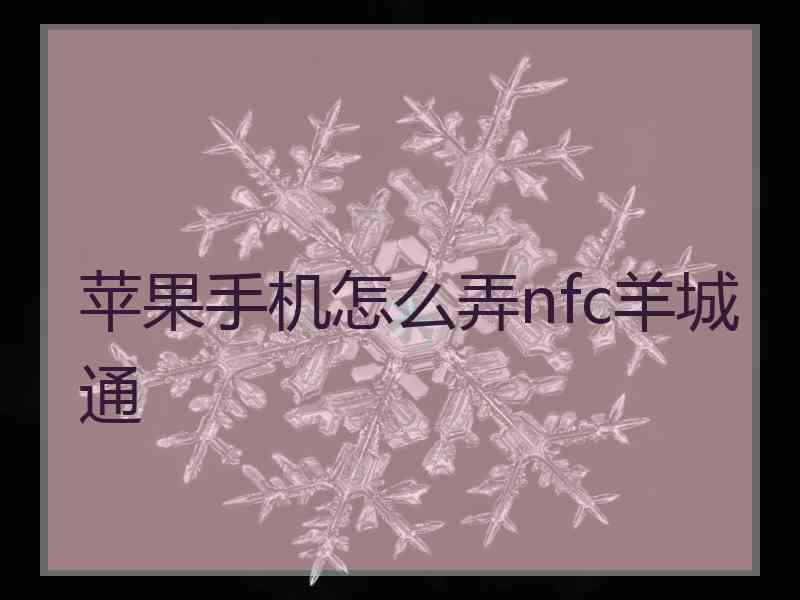 苹果手机怎么弄nfc羊城通