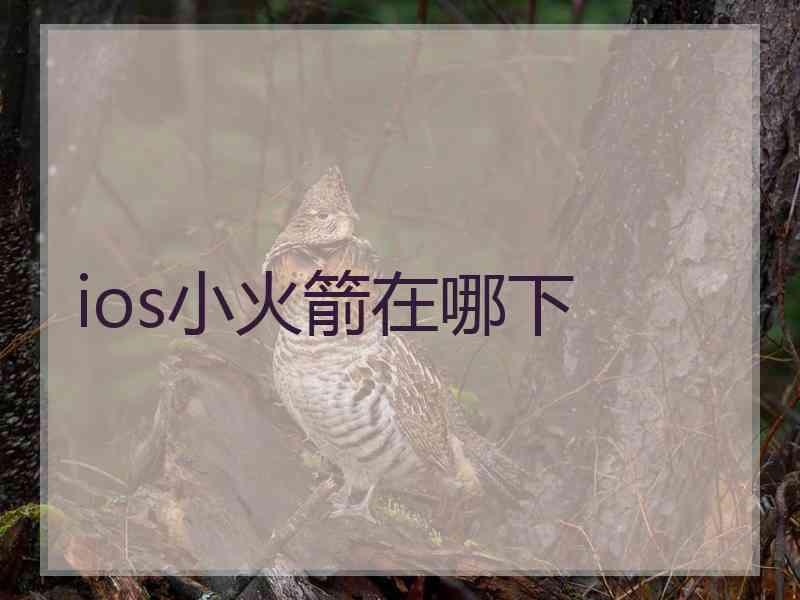 ios小火箭在哪下