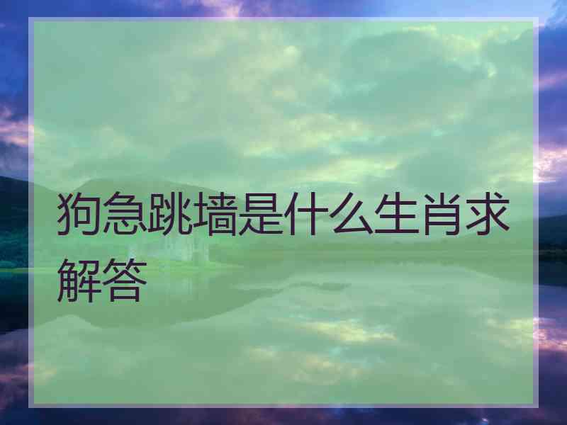 狗急跳墙是什么生肖求解答