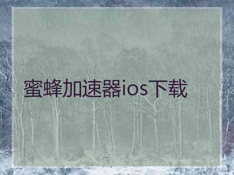 蜜蜂加速器ios下载