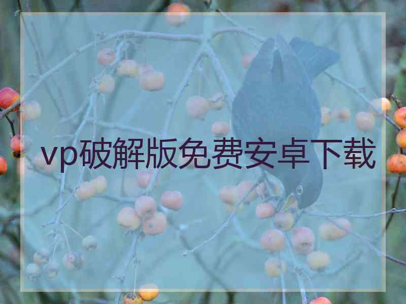 vp破解版免费安卓下载