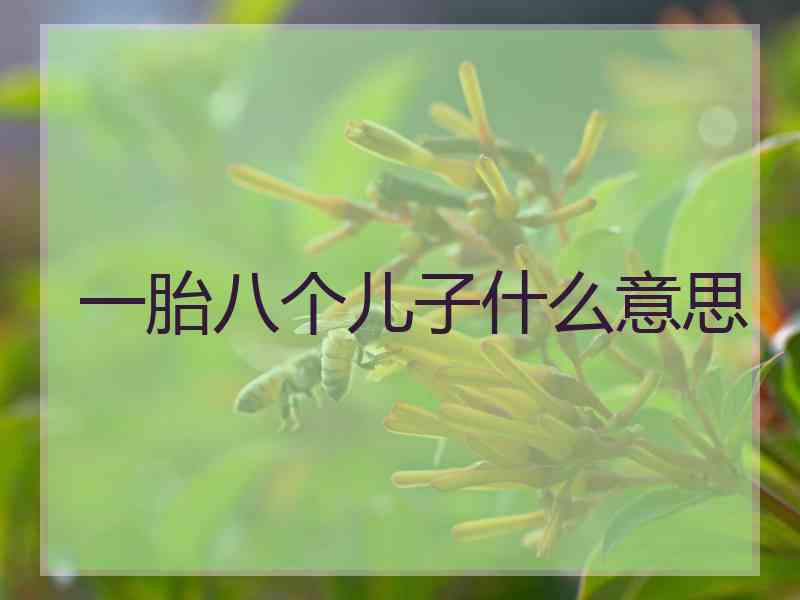 一胎八个儿子什么意思