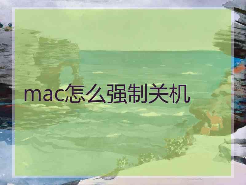 mac怎么强制关机