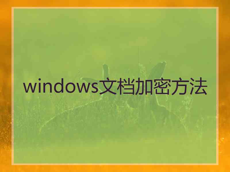 windows文档加密方法