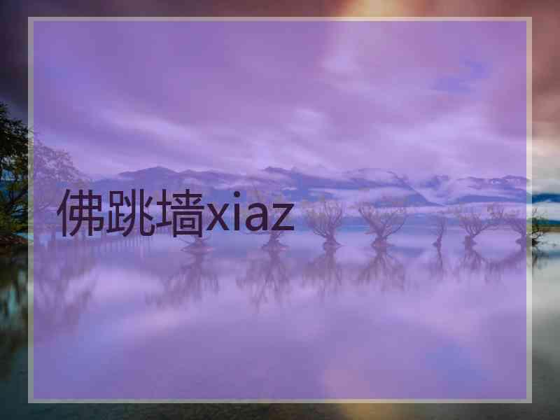 佛跳墙xiaz