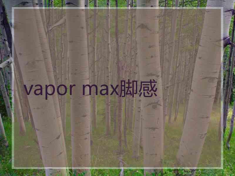 vapor max脚感