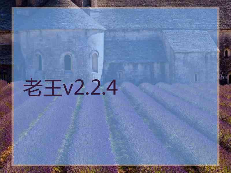 老王v2.2.4