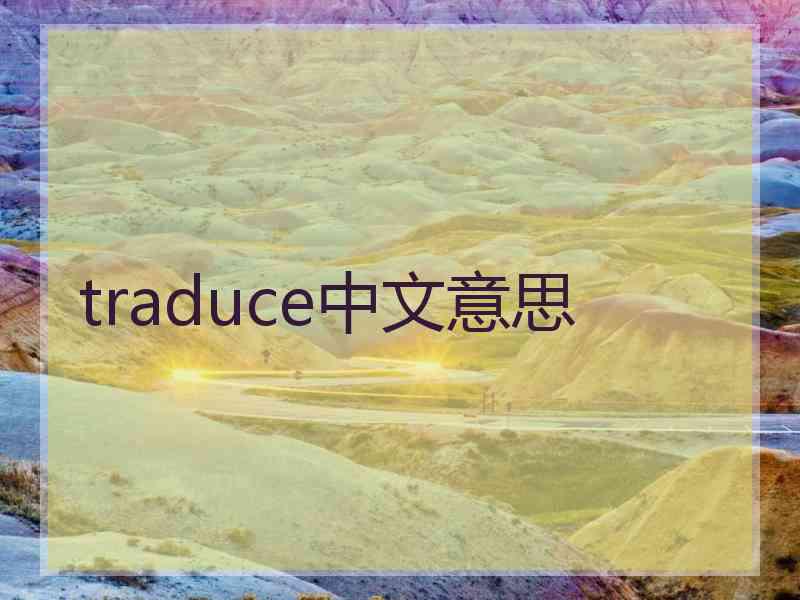 traduce中文意思