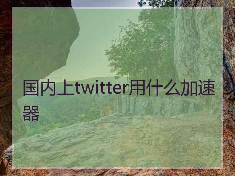 国内上twitter用什么加速器