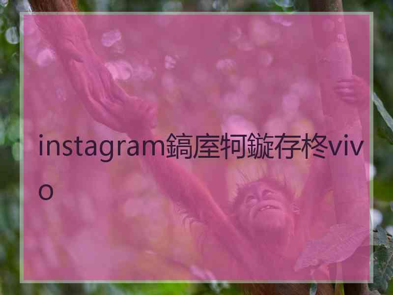 instagram鎬庢牱鏇存柊vivo