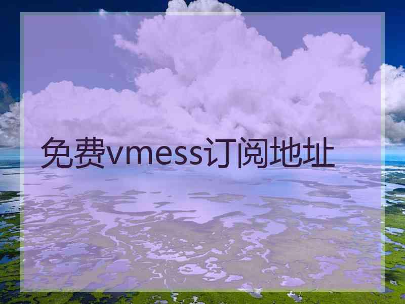 免费vmess订阅地址