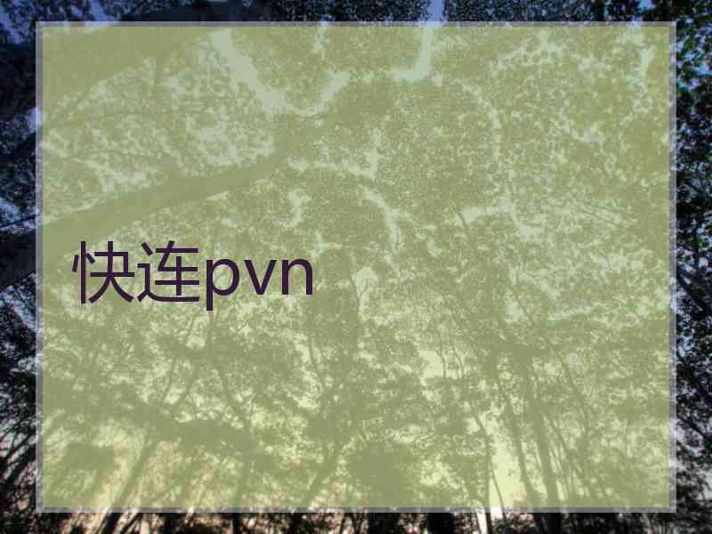 快连pvn