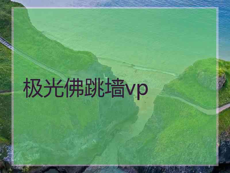 极光佛跳墙vp