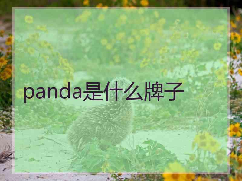 panda是什么牌子