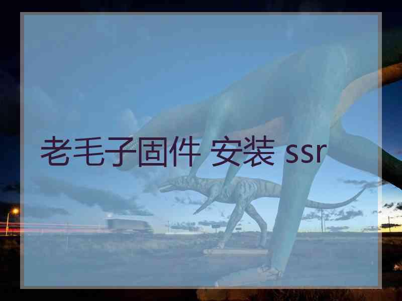 老毛子固件 安装 ssr