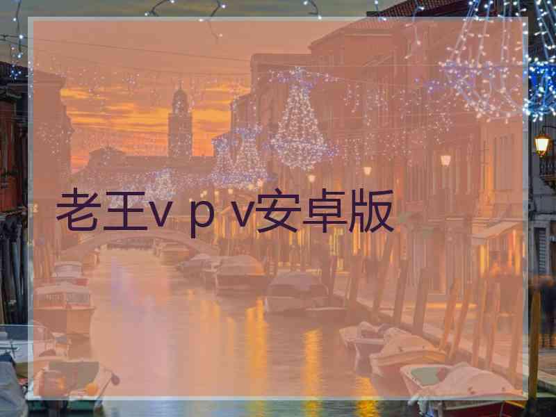 老王v p v安卓版