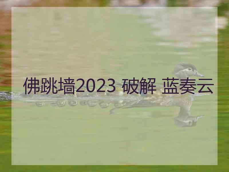 佛跳墙2023 破解 蓝奏云