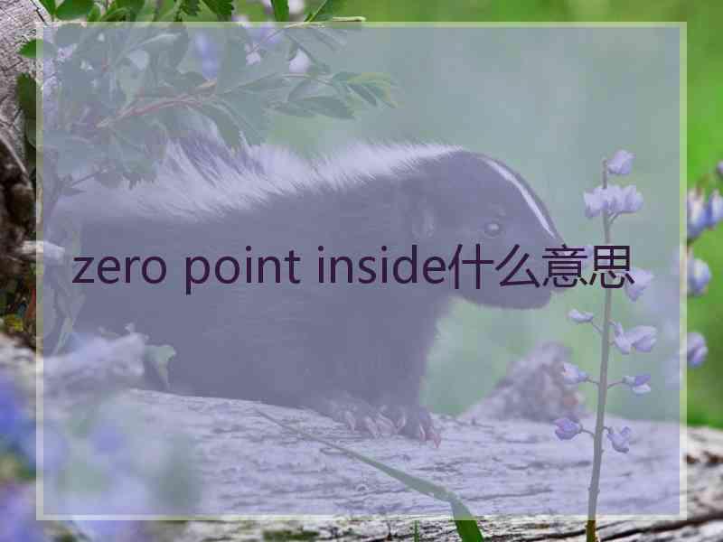 zero point inside什么意思