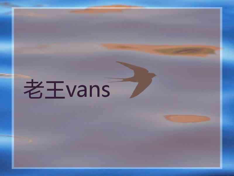 老王vans