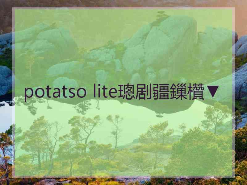 potatso lite璁剧疆鏁欑▼