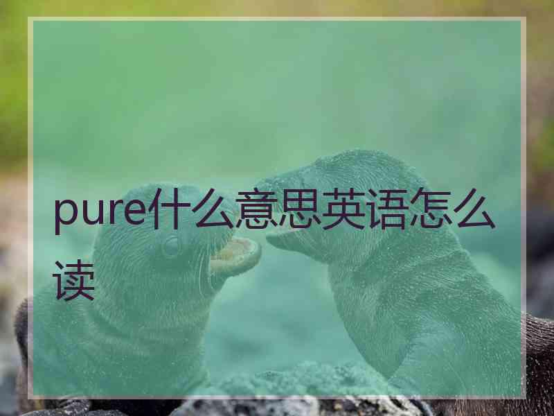 pure什么意思英语怎么读