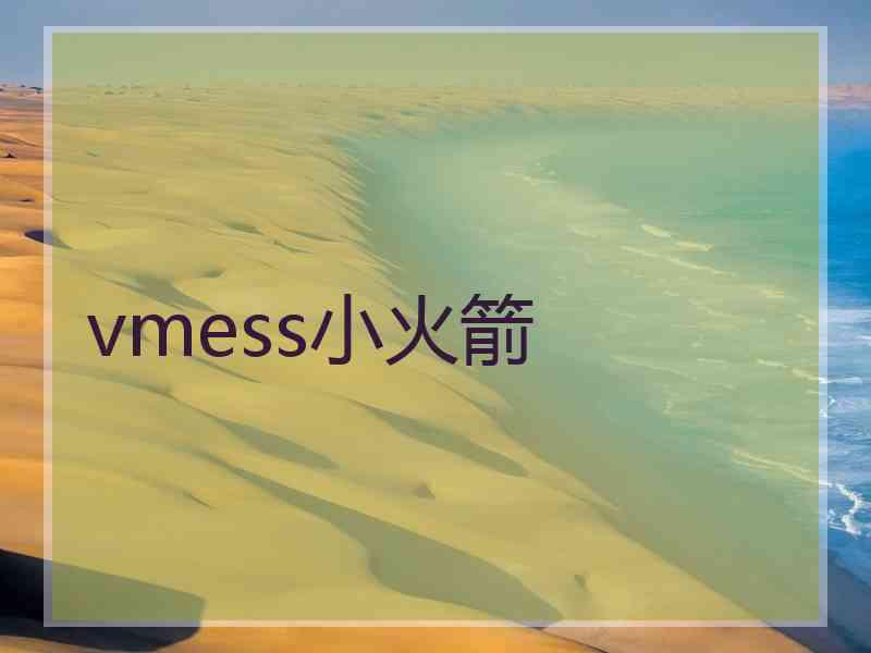 vmess小火箭