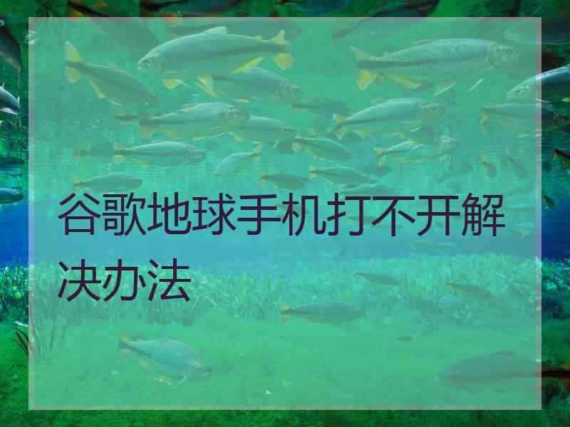 谷歌地球手机打不开解决办法