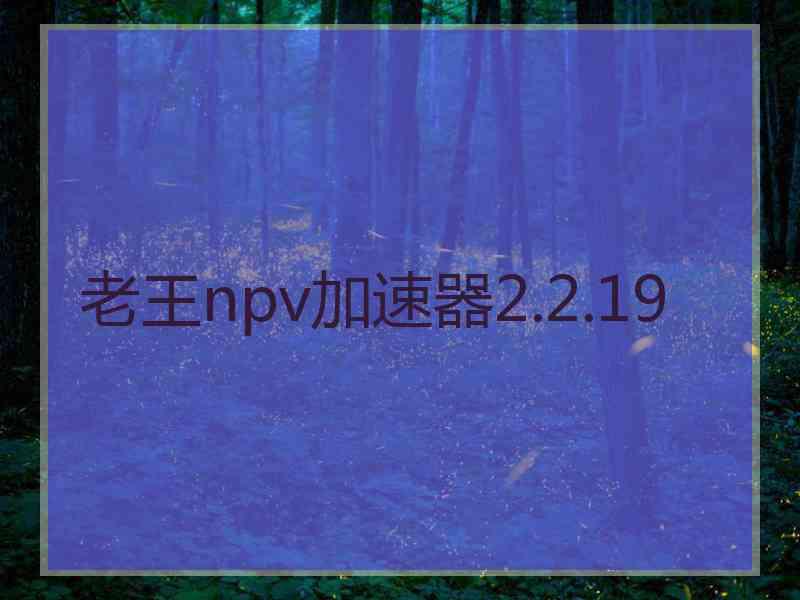 老王npv加速器2.2.19