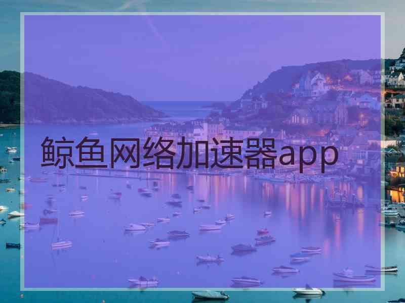 鲸鱼网络加速器app