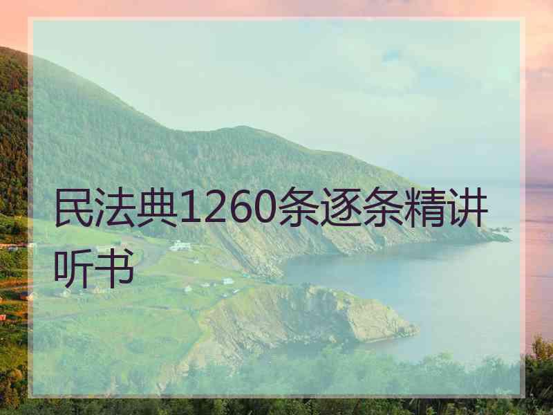 民法典1260条逐条精讲听书