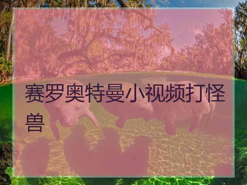 赛罗奥特曼小视频打怪兽