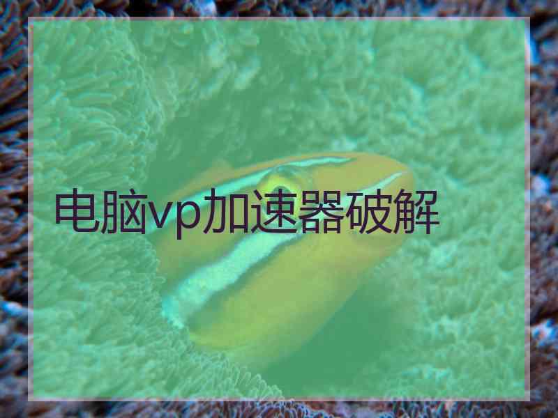 电脑vp加速器破解